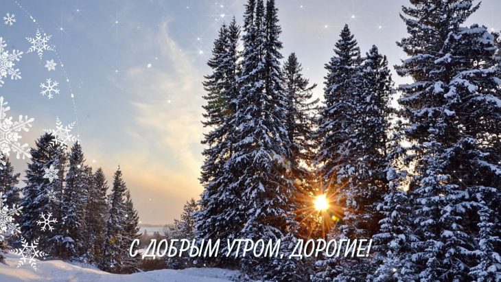 Открытки